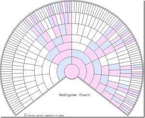 DNA Female X Fan Chart