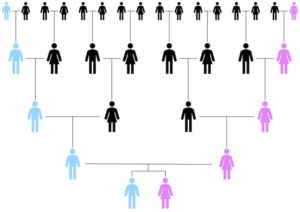 Mt-DNA K1a4a1b2 Haplogroup Project – Mic's X-Chromosome